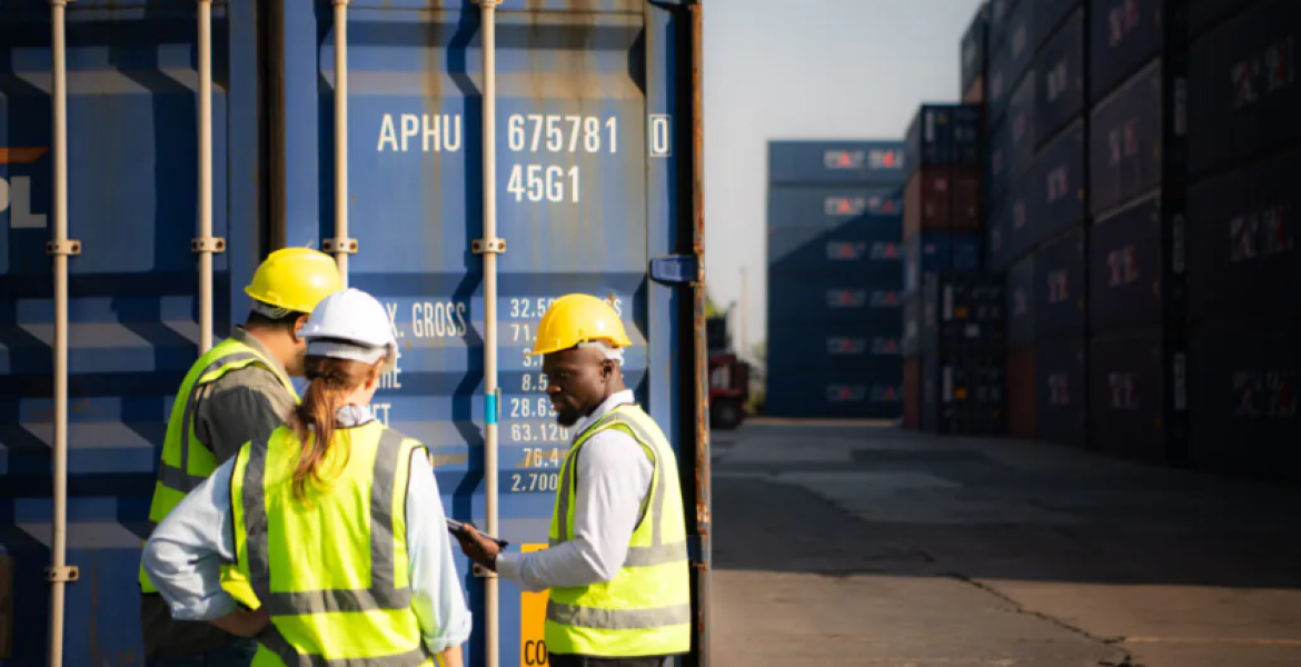 Captura de tela 2024-12-06 114623